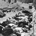 These are Jews killed by Hungarian Nzilas