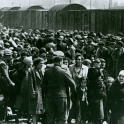 Auschwitz 1944 probably late May - June.Nazis asses built extra train tracks which pulled up close to the gas chambers.It allowed them to gas over 10,000 per day.<br />The Nazis had more than one gas chamber with crematorium in Auschwitz-Birkenau.Millions of Jews & Non-Jews went up the chimney in Auschwitz.