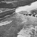 loggers going down the Tisza River