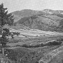 Shot of the Carpathian Mountain Region