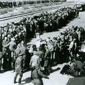 Auschwitz 1944 probably late May - June.Nazis asses built extra train tracks which pulled up close to the gas chambers.It allowed them to gas over 10,000 per day.<br />The Nazis had more than one gas chamber with crematorium in Auschwitz-Birkenau.Millions of Jews & Non-Jews went up the chimney in Auschwitz.